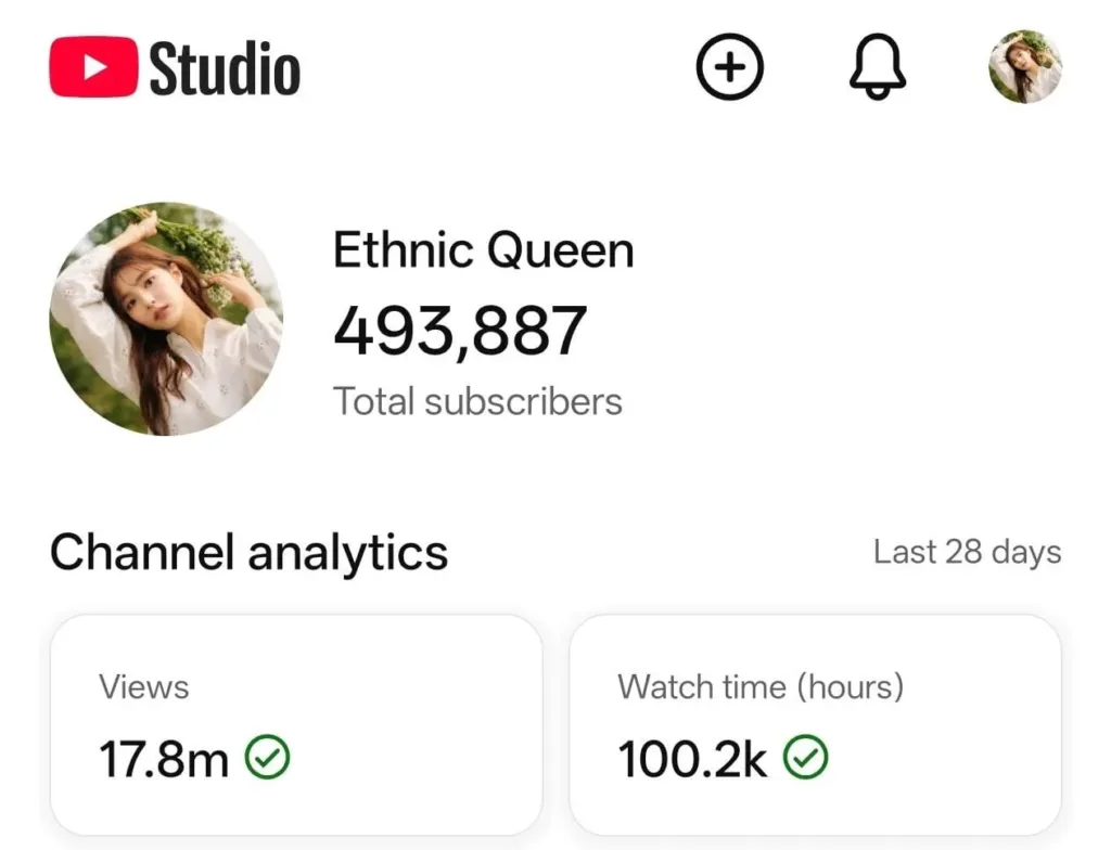 493.8K Subscriber YouTube Channel Listing with 302.9M Views – YTS1691